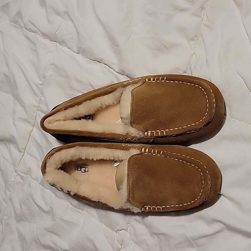 Mens UGG Slippers